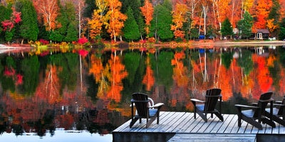 Fun Fall Activities in Muskoka: A Local Realtor’s Guide